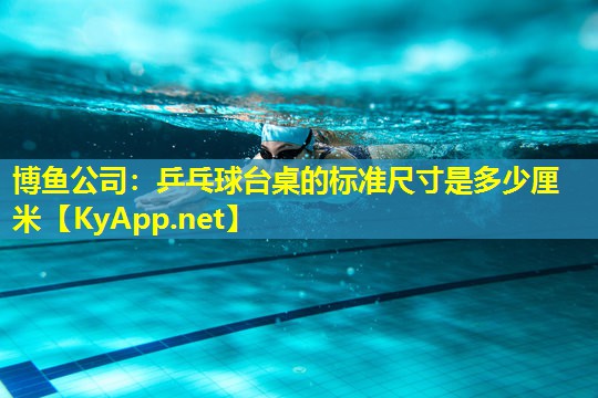 博鱼公司：乒乓球台桌的标准尺寸是多少厘米